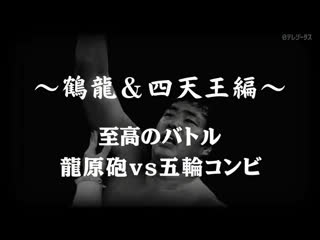 memories of the fierce battle of pro wrestling- tsuruyu 4 pillars 4: supreme battle ryuharu gun vs olympic combination